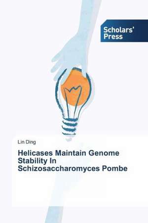 Helicases Maintain Genome Stability in Schizosaccharomyces Pombe: The Significance of Writing as Image de Lin Ding