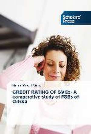 Credit Rating of Smes- A Comparative Study of Psbs of Orissa: Effective Leadership Development and Succession Planning de Bishnu Prasad Mishra