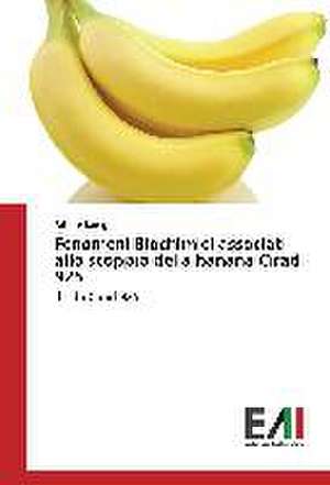 Fenomeni Biochimici Associati Allo Scoppio Della Banana Cirad 925: La Narrativa Di Maurice Blanchot de Fabrice Kamguia