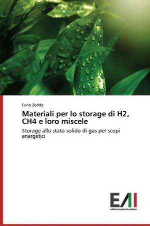 Materiali Per Lo Storage Di H2, Ch4 E Loro Miscele: Georgia, Ucraina, Kirghizistan de Furio Zedde