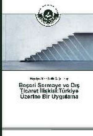 Be Eri Sermaye Ve D Ticaret Li Kisi: Turkiye Uzerine Bir Uygulama de Hayriye Atik