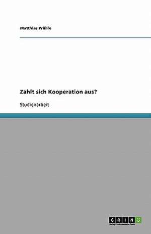 Zahlt sich Kooperation aus? de Matthias Wühle