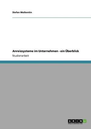 Anreizsysteme im Unternehmen: Wie sie gute Mitarbeiter motivieren und halten können de Stefan Molkentin