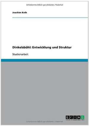 Dinkelsbühl: Entwicklung und Struktur de Joachim Kolb