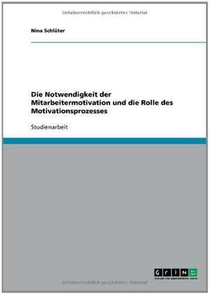 Die Notwendigkeit der Mitarbeitermotivation und die Rolle des Motivationsprozesses de Nina Schlüter