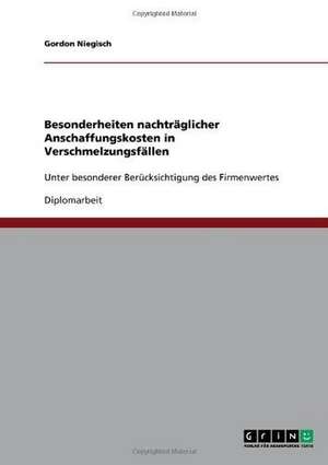 Besonderheiten nachträglicher Anschaffungskosten in Verschmelzungsfällen de Gordon Niegisch