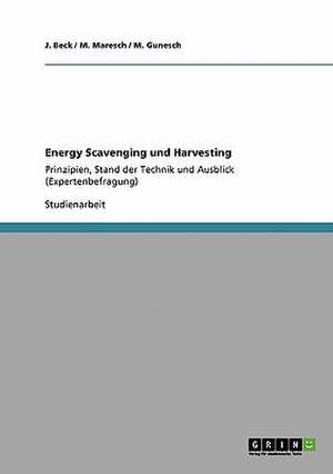 Energy Scavenging und Harvesting de J. Beck