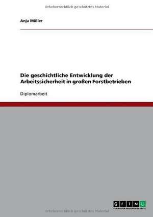 Die geschichtliche Entwicklung der Arbeitssicherheit in großen Forstbetrieben de Anja Müller