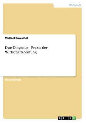 Due Diligence - Praxis der Wirtschaftsprüfung de Michael Brauschel