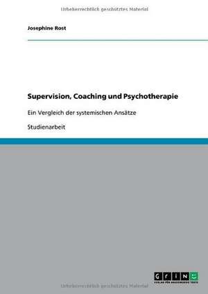 Supervision, Coaching und Psychotherapie de Josephine Rost