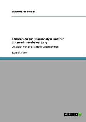 Kennzahlen zur Bilanzanalyse und zur Unternehmensbewertung de Brunhilde Fellermeier