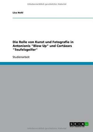 Die Rolle von Kunst und Fotografie in Antonionis "Blow Up" und Cortázars "Teufelsgeifer" de Lisa Nohl