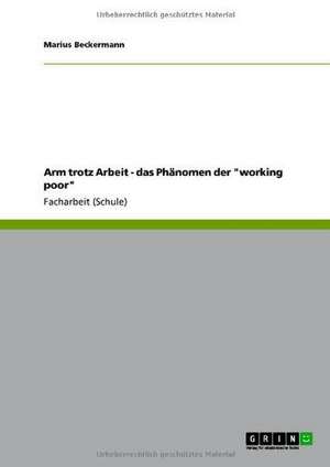 Arm trotz Arbeit - das Phänomen der "working poor" de Marius Beckermann