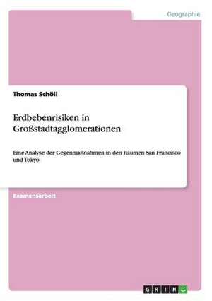 Erdbebenrisiken in Großstadtagglomerationen de Thomas Schöll