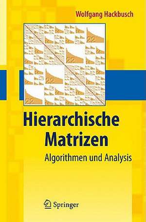 Hierarchische Matrizen: Algorithmen und Analysis de Wolfgang Hackbusch