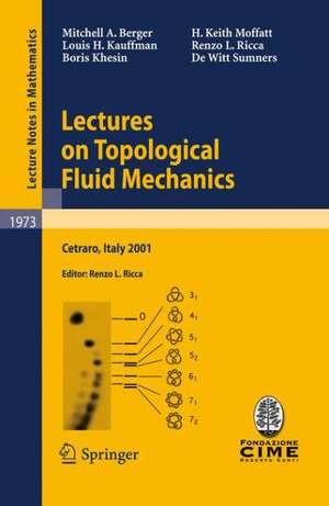 Lectures on Topological Fluid Mechanics: Lectures given at the C.I.M.E. Summer School held in Cetraro, Italy, July 2 - 10, 2001 de Mitchell A. Berger