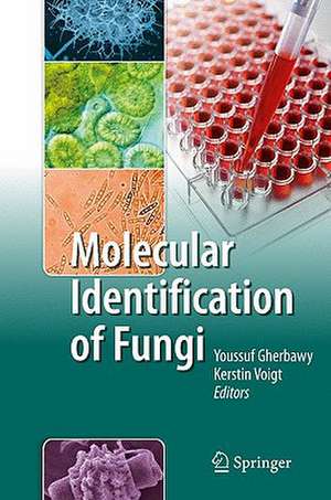 Molecular Identification of Fungi de Youssuf Gherbawy