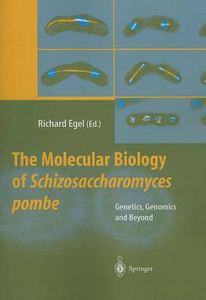 The Molecular Biology of Schizosaccharomyces pombe: Genetics, Genomics and Beyond de Richard Egel