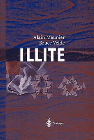 Illite: Origins, Evolution and Metamorphism de Alain Meunier