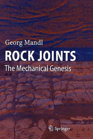 Rock Joints: The Mechanical Genesis de Georg Mandl