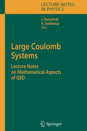 Large Coulomb Systems: Lecture Notes on Mathematical Aspects of QED de Jan Derezinski