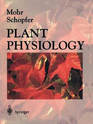 Plant Physiology de Hans Mohr