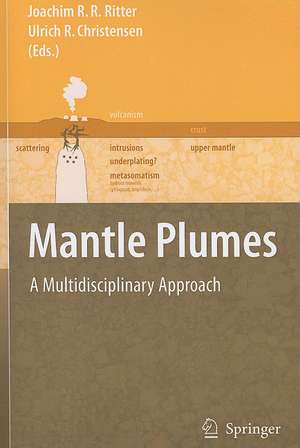 Mantle Plumes: A Multidisciplinary Approach de Joachim R. R. Ritter