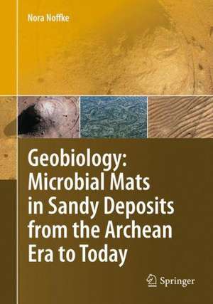 Geobiology: Microbial Mats in Sandy Deposits from the Archean Era to Today de Nora Noffke