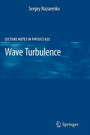 Wave Turbulence de Sergey Nazarenko