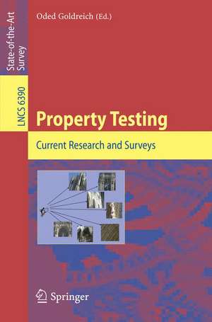 Property Testing: Current Research and Surveys de Oded Goldreich