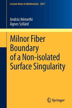 Milnor Fiber Boundary of a Non-isolated Surface Singularity de András Némethi