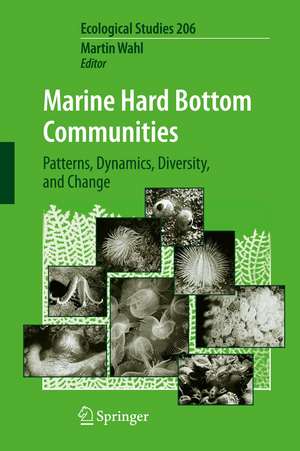 Marine Hard Bottom Communities: Patterns, Dynamics, Diversity, and Change de Martin Wahl