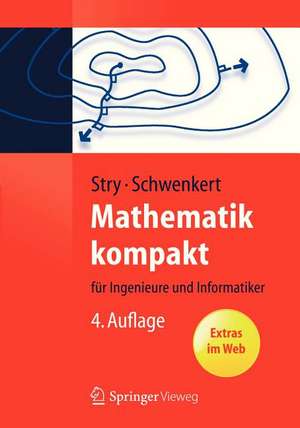 Mathematik kompakt: für Ingenieure und Informatiker de Yvonne Stry