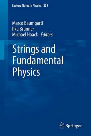 Strings and Fundamental Physics de Marco Baumgartl