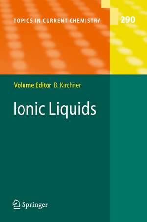 Ionic Liquids de Barbara Kirchner