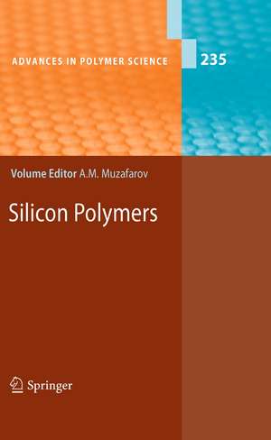 Silicon Polymers de Aziz M. Muzafarov