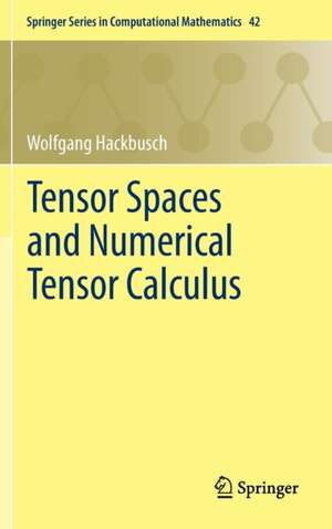 Tensor Spaces and Numerical Tensor Calculus de Wolfgang Hackbusch