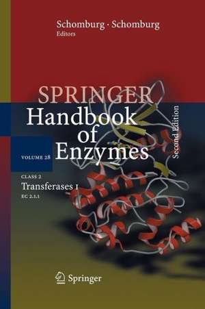 Class 2 Transferases I: EC 2.1.1 de Antje Chang