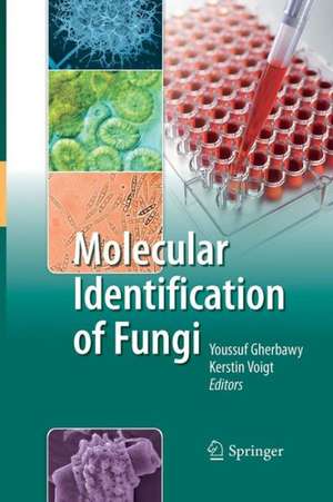 Molecular Identification of Fungi de Youssuf Gherbawy