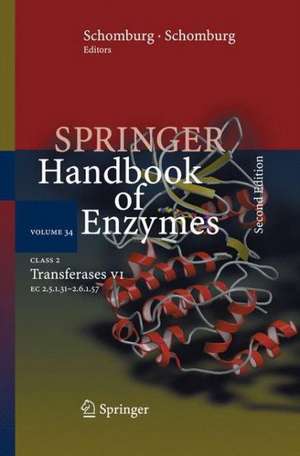 Class 2 Transferases VII: EC 2.5.1.31 - 2.6.1.57 de A. Chang