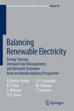 Balancing Renewable Electricity: Energy Storage, Demand Side Management, and Network Extension from an Interdisciplinary Perspective de Bert Droste-Franke