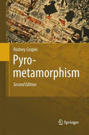 Pyrometamorphism de Rodney Grapes