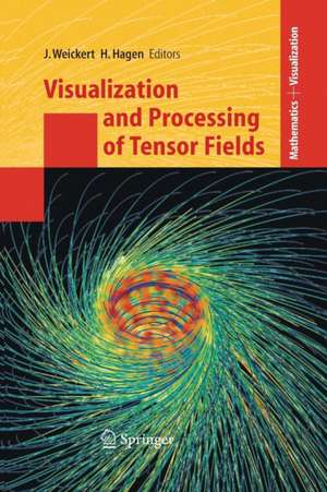 Visualization and Processing of Tensor Fields de Joachim Weickert