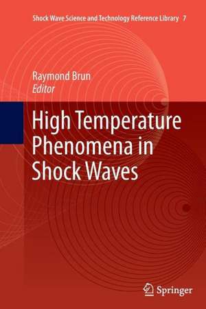 High Temperature Phenomena in Shock Waves de Raymond Brun