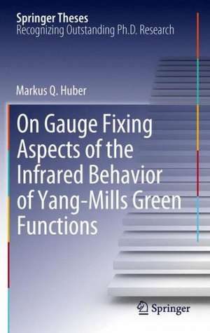 On Gauge Fixing Aspects of the Infrared Behavior of Yang-Mills Green Functions de Markus Q. Huber