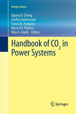 Handbook of CO₂ in Power Systems de Qipeng P. Zheng