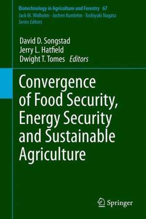 Convergence of Food Security, Energy Security and Sustainable Agriculture de David D. Songstad