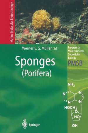 Sponges (Porifera) de Werner E.G. Müller