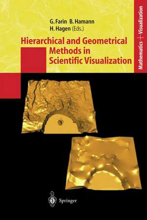 Hierarchical and Geometrical Methods in Scientific Visualization de Gerald Farin