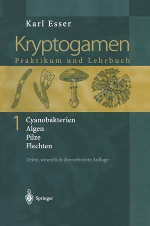 Kryptogamen 1: Cyanobakterien Algen Pilze Flechten Praktikum und Lehrbuch de Karl Esser